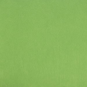 Фетр жесткий 1 мм, 20 х 30 см, цвет светло-зеленый